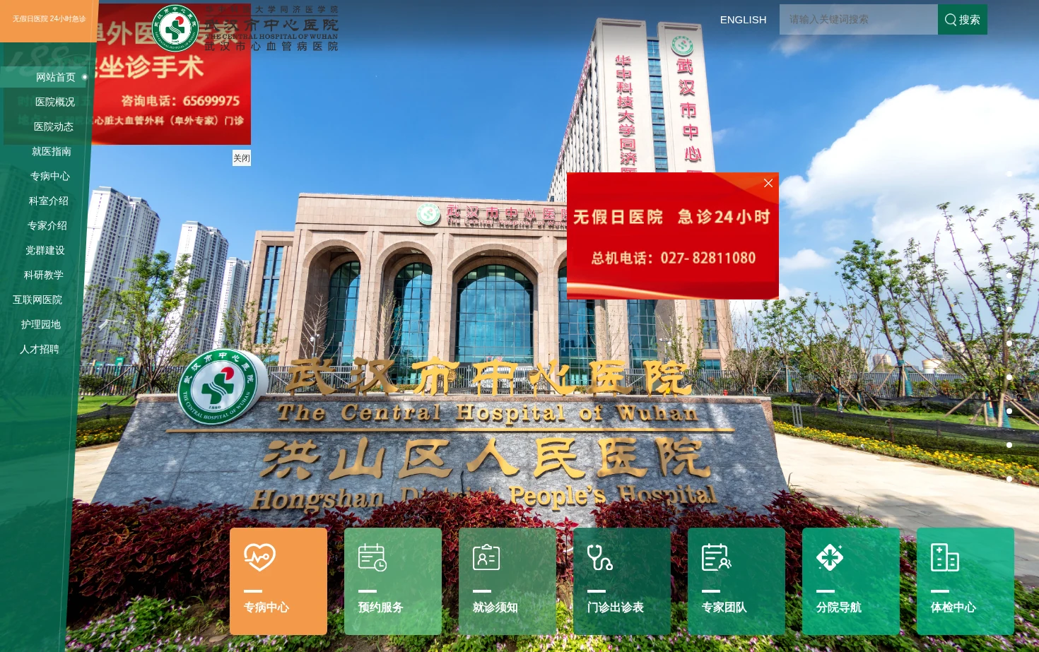 武汉市中心医院 页面快照